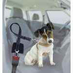 Correa 2 en 1 de Paseo y Seguridad Ajustable 0,7-1,2 m - Imagen 2