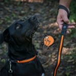 Correa Luminosa con Luz Flash 120 cm - Imagen 2