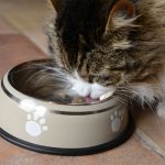 Cuenco de Acero Inoxidable Talla S - Imagen 2