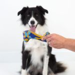 Hueso de Caucho 13 cm - Imagen 2