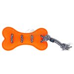 Hueso Dental Naranja