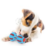 Juguete Dental Sonoro - Imagen 2