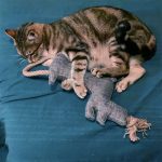 Pelucha Perro con Cuerda - Imagen 2