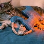 Pelucha Gato con Cuerda - Imagen 2