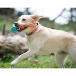 Bola con Cuerda - Imagen 2