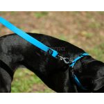 Correa Premium Azul Talla Única 130 cm - Imagen 2