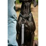 Correa Premium Gris Talla Única 130 cm - Imagen 2