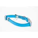 Collar Azul Talla Talla M 35-50 cm - Imagen 4