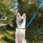 Correa Azul 120 cm - Imagen 4