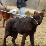 Correa de Tela Reciclada 120 cm - Imagen 2