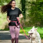 Kit Paseo Comfort 3 Piezas Collar, Correa y Cinturón - Imagen 2