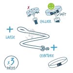 Kit Paseo Azul 3 Piezas Collar, Correa y Cinturón - Imagen 3